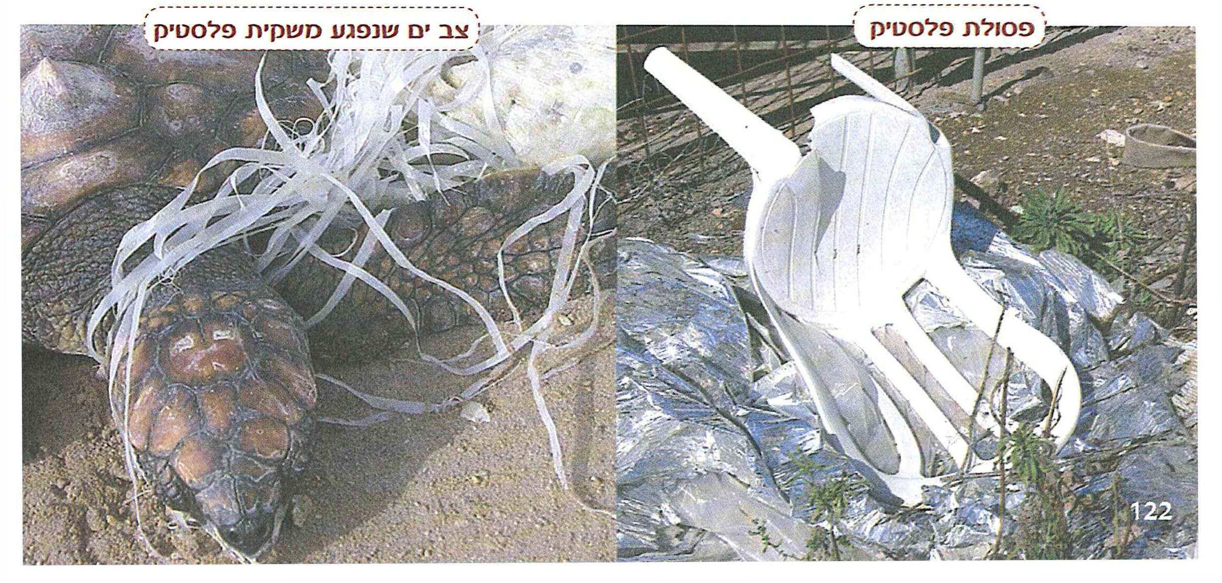 (בספר תמונות)